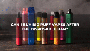 Disposables vape ban