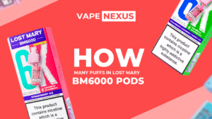 how-many-puffs-in-lost-mary-bm6000-pods