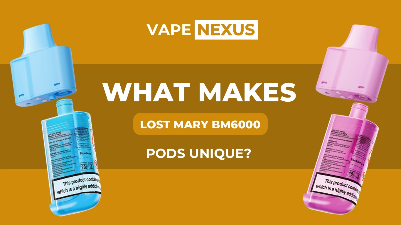What Makes Lost Mary BM 6000 Pods Unique?